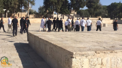  المحكمة: السماح لليهود بأداء طقوس دينية داخل المسجد الأقصى المبارك